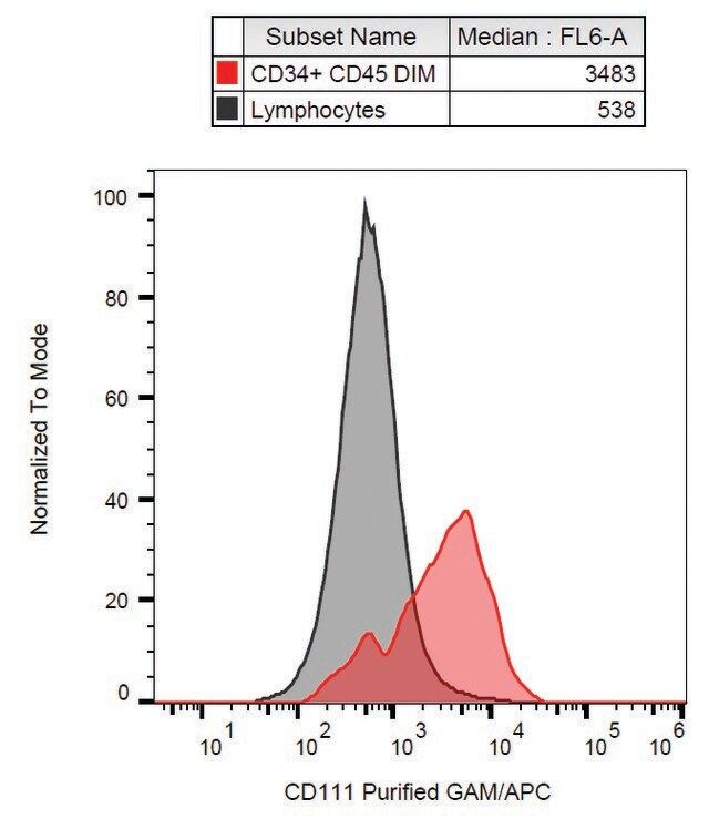 Monoclonal Anti-CD111 antibody produced in mouse