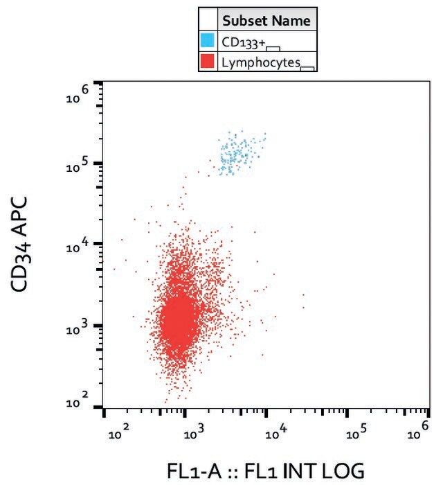 Monoclonal Anti-CD133 antibody produced in mouse