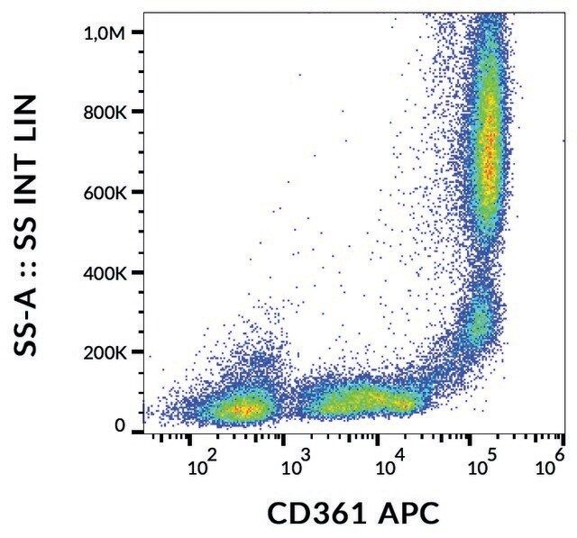 Monoclonal Anti-CD361 antibody produced in mouse