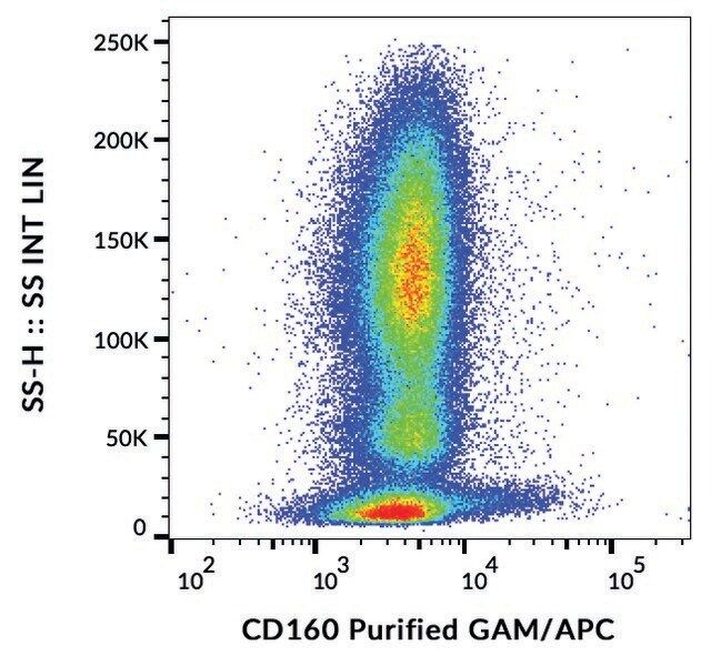 Monoclonal Anti-CD160 antibody produced in mouse