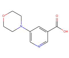 5-Morpholinonicotinic acid