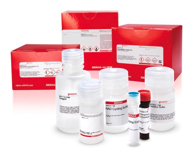 Methionine Assay Kit (Fluorometric)