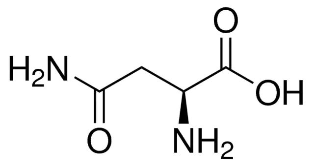 <sc>L</sc>-Asparagine