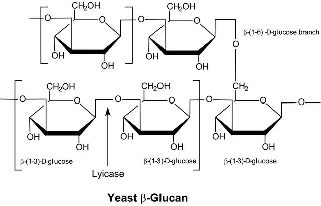 Lyticase from <i>Arthrobacter luteus</i>