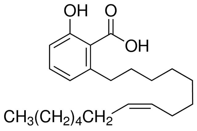 Ginkgolic acid C15:1