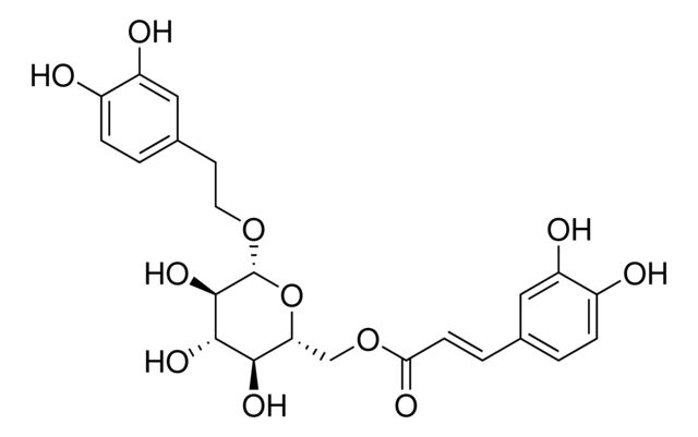 Calceolarioside B