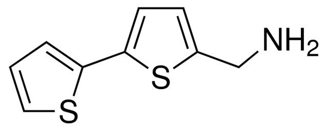 c-[2,2]bithiophenyl-5-yl-methylamine