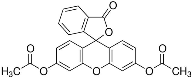 Diacetylfluorescein