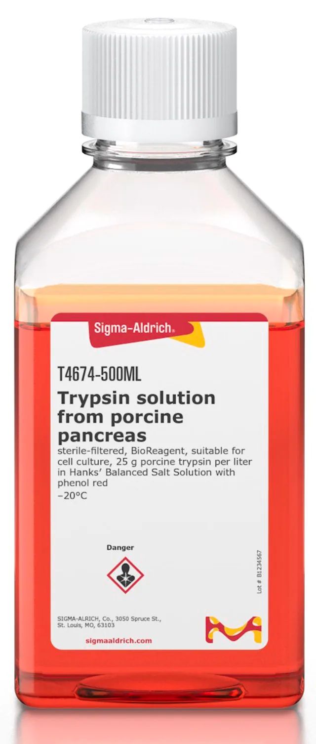 Trypsin solution from porcine pancreas