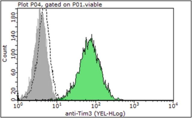 Anti-TIM-3, clone RMT3-23, Azide Free Antibody