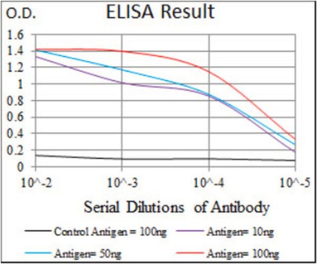 Anti-TGFBR3, clone 1C5H11 Antibody