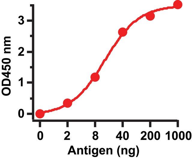 Anti-SARS-CoV Spike antibody produced in rabbit