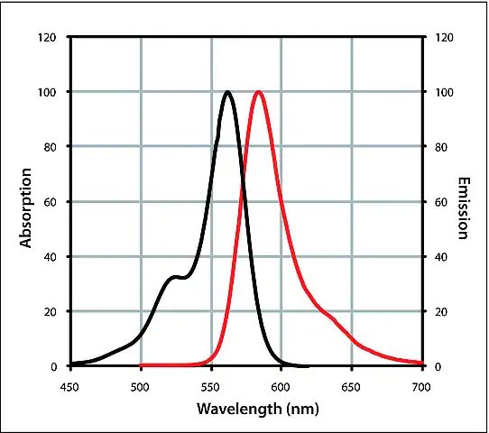 Anti-Rat IgG (H+L), highly cross-adsorbed, CF<sup>TM</sup> 568 antibody produced in donkey