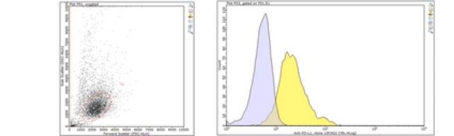 Anti-PD-L1 Antibody, clone 10F.9G2