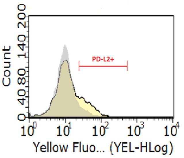 Anti-PD-L2 Antibody, clone 24F.10C12