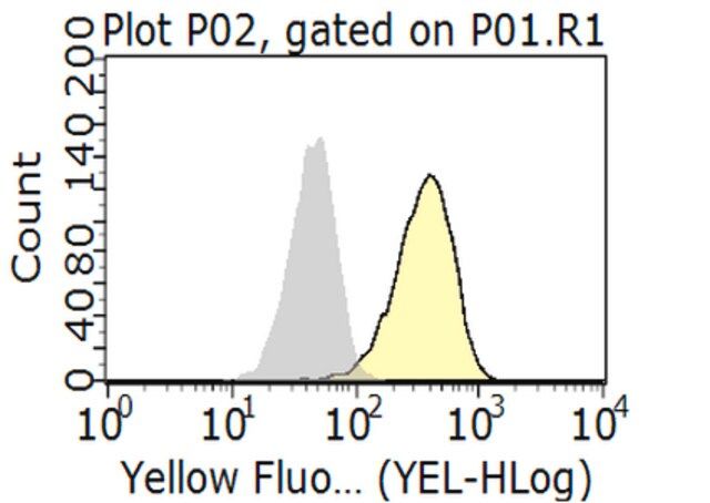 Anti-PD-L1 Antibody, clone 29E.2A3.C6, Azide Free