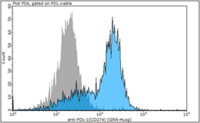 Anti-PD-L1 Antibody/CD274