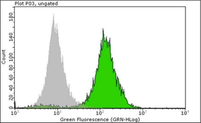 Anti-Nuclei Antibody, clone 3E1.3