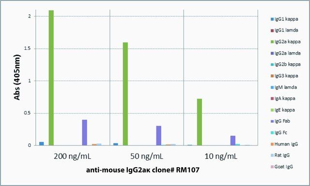 Anti-Mouse IgG2a kappa-Biotin antibody, Rabbit monoclonal