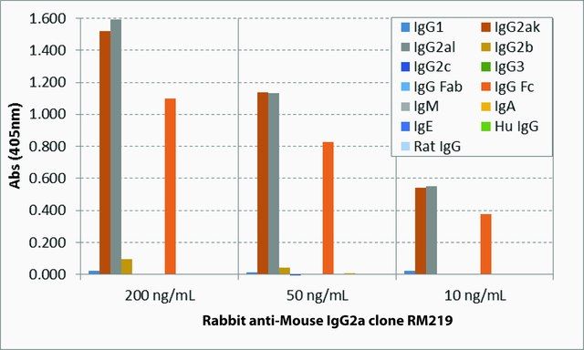 Anti-Mouse IgG2a-Biotin antibody, Rabbit monoclonal