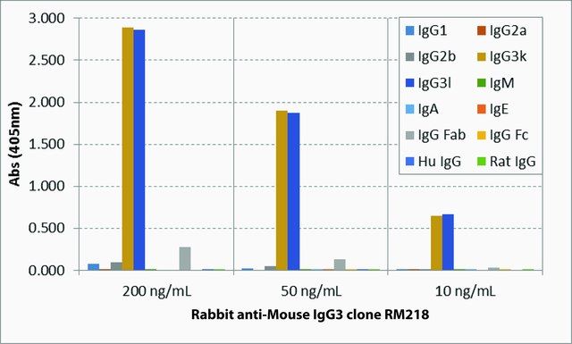 Anti-Mouse IgG3-Biotin antibody, Rabbit monoclonal