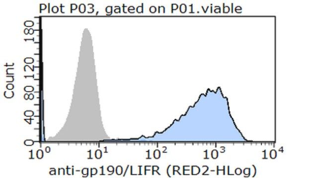 Anti-LIF Receptor, clone 1C7 (Azide Free) Antibody