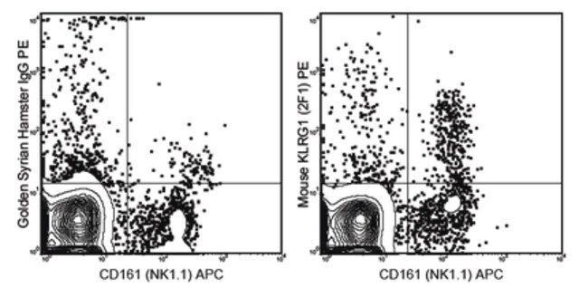 Anti-KLRG1 Antibody (mouse), PE, clone 2F1