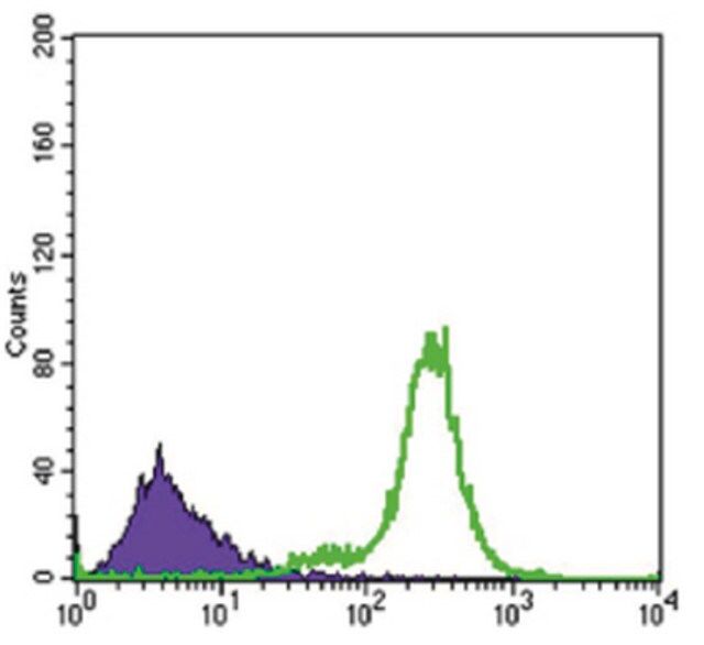 Anti-IL-34, clone 1D12 Antibody