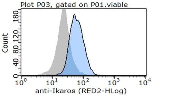 Anti-Ikaros Antibody, clone 4E9