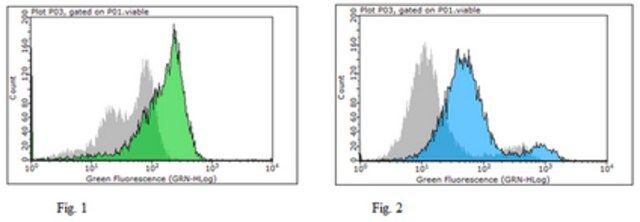 Anti-hERV-WL Antibody