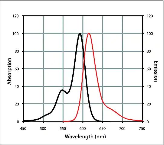 Anti-Goat IgG (H+L), CF<sup>TM</sup> 594 antibody produced in chicken