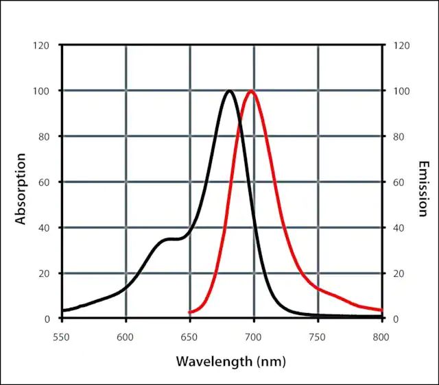 Anti-Goat IgG (H+L), CF<sup>TM</sup> 680 antibody produced in rabbit