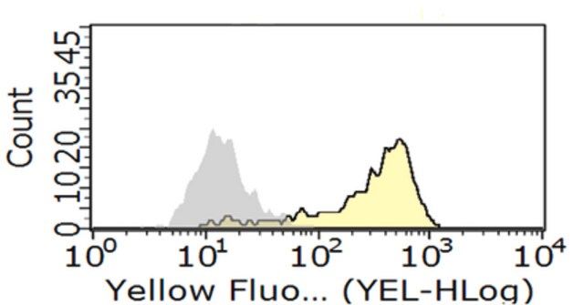 Anti-FcRII (human) Antibody, clone AT10