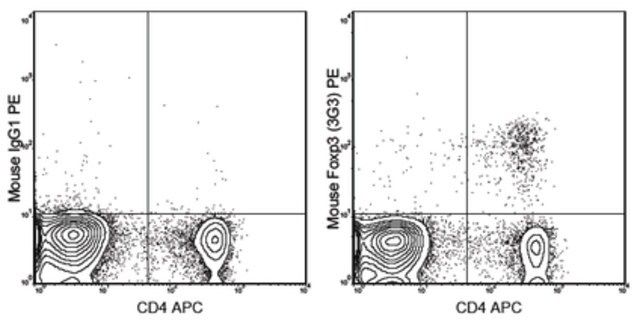 Anti-Foxp3 Antibody (mouse), PE, clone 3G3