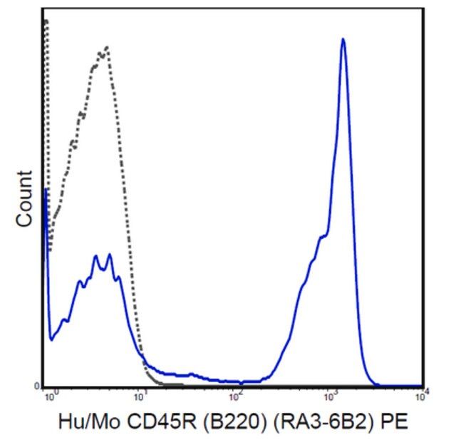 Anti-CD45R (B220) Antibody (human/mouse), PE, clone RA3-6B2