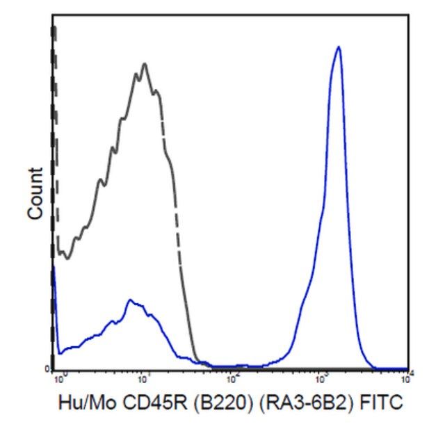 Anti-CD45R (B220) Antibody (human/mouse), FITC, clone RA3-6B2