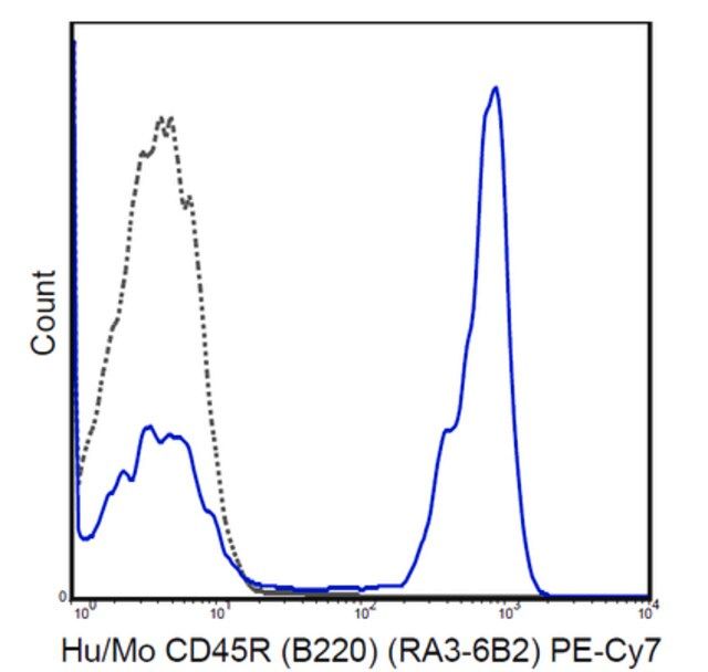 Anti-CD45R (B220) Antibody (human/mouse), PE-Cy7, clone RA3-6B2