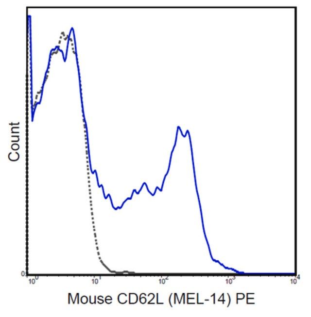 Anti-CD62L (L-Selectin) Antibody (mouse), PE, clone MEL-14