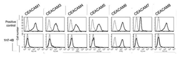 Anti-CEACAM6 Antibody, clone 1H7-4B