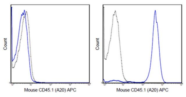 Anti-CD45.1 Antibody (mouse), APC, clone A20