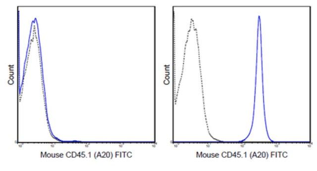 Anti-CD45.1 Antibody (mouse), FITC, clone A20