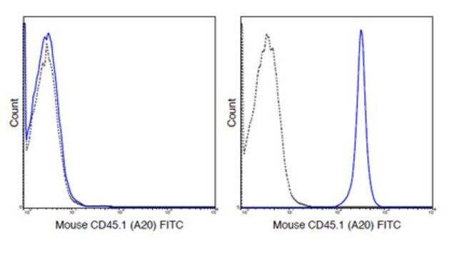 Anti-CD45.1 Antibody (mouse), clone A20