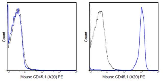 Anti-CD45.1 Antibody (mouse), PE, clone A20