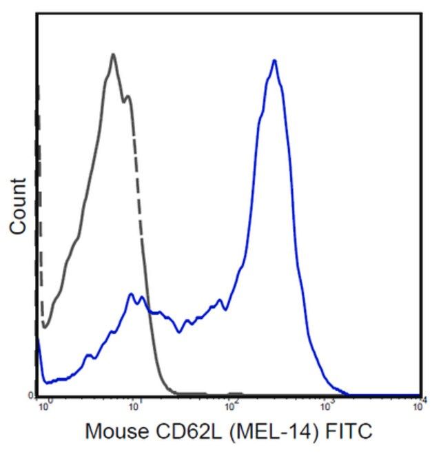 Anti-CD62L (L-Selectin) Antibody (mouse), FITC, clone MEL-14