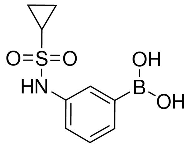 3-[(Cyclopropylsulfonyl)amino]phenylboronic acid