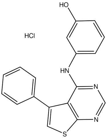 3-[(5-Phenylthieno[2,3-<i>d</i>]pyrimidin-4-yl)amino]phenol hydrochloride