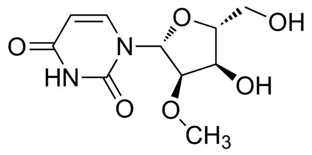 2-<i>o</i>-Methyluridine