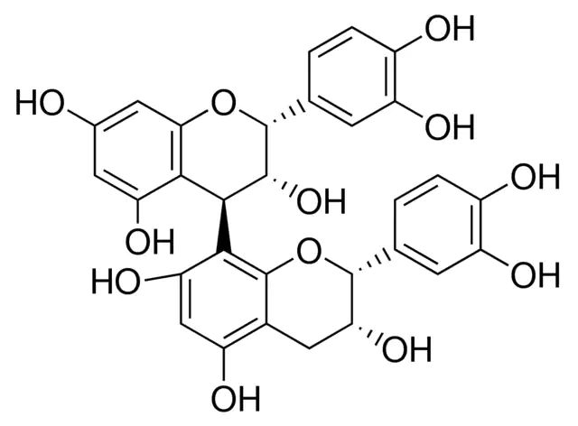 Procyanidin B2