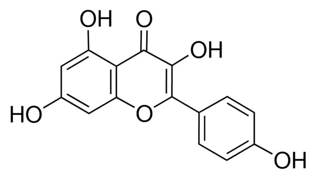 Kaempferol