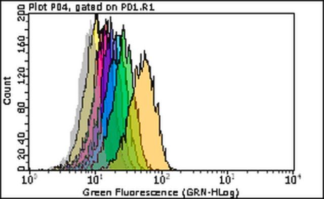 Milli-Mark<sup>®</sup> Mouse IgG1-k, clone MOPC-21, PE conjugate